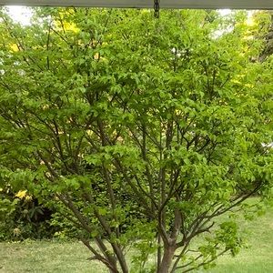 Meet your Posher, Nayla